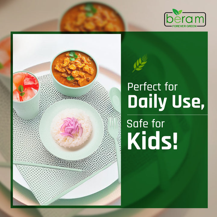 6 Piece Wheat Straw Kids Dinner Set