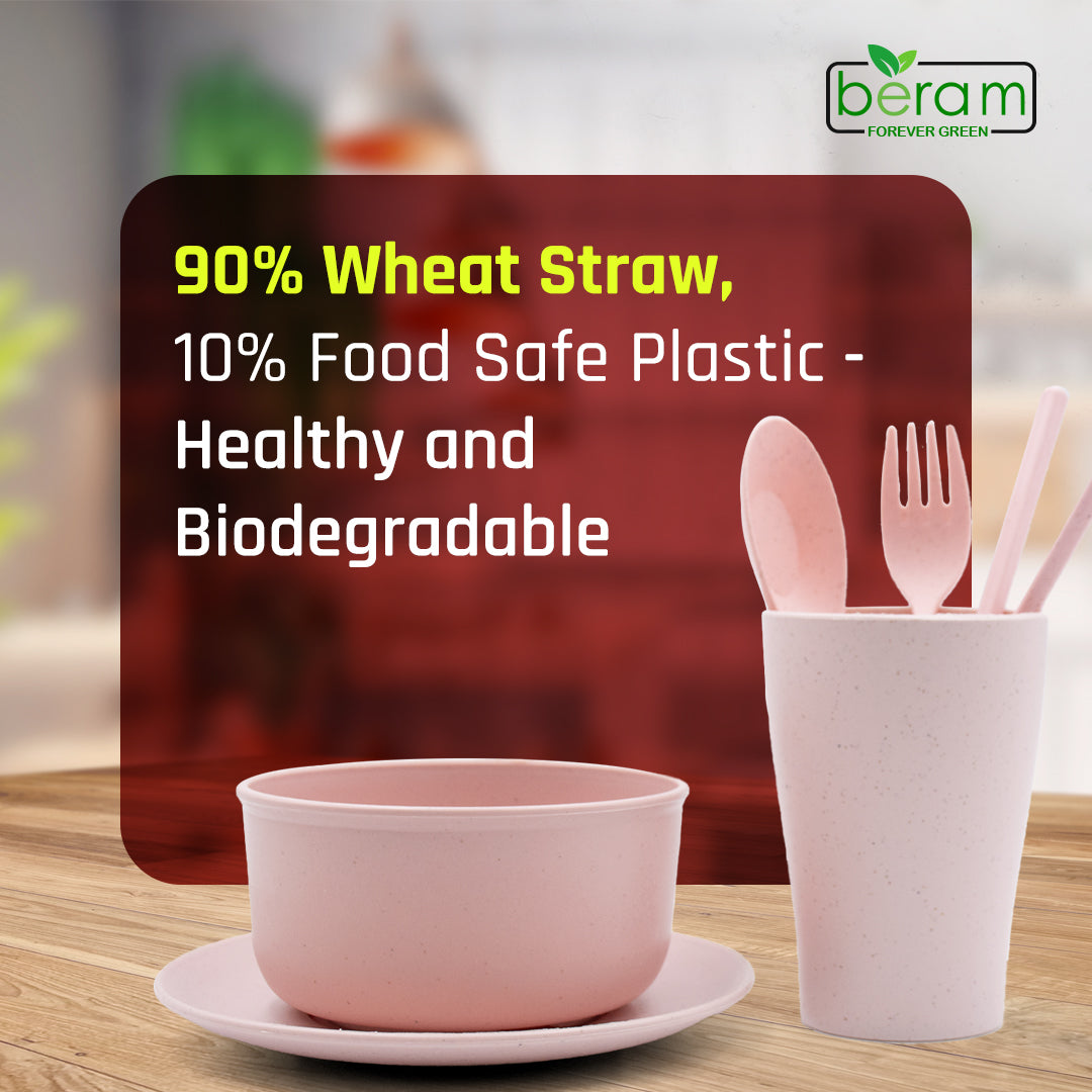 6 Piece Wheat Straw Kids Dinner Set