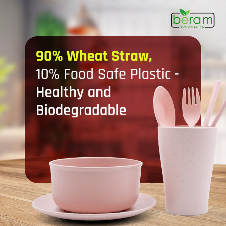 6 Piece Wheat Straw Kids Dinner Set