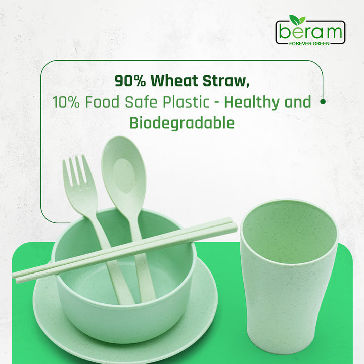 6 Piece Wheat Straw Kids Dinner Set