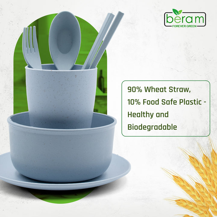 6 Piece Wheat Straw Kids Dinner Set