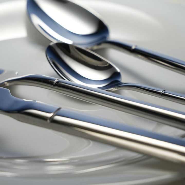 Stainless Gleam (Individual)