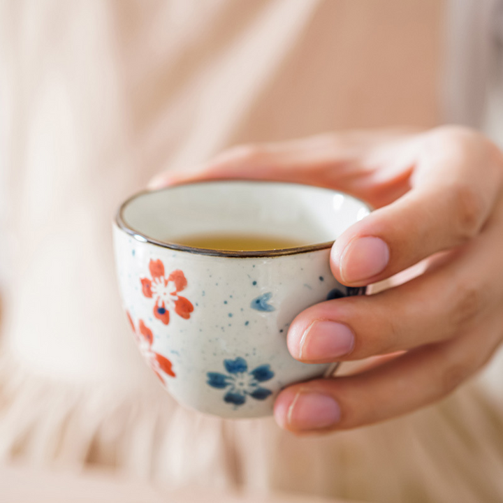 Porcelain Tea Set Multicolored