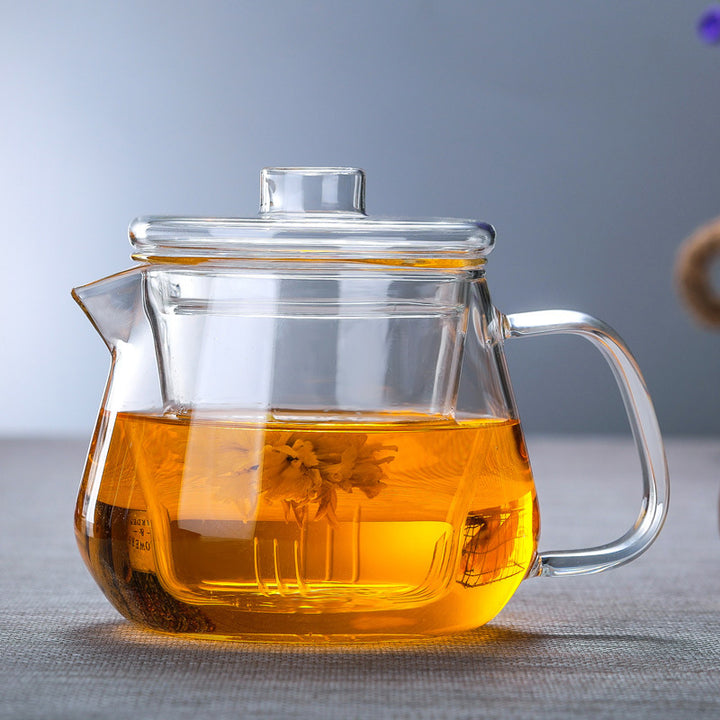 Parrot Tip Glass Teapot 500ml