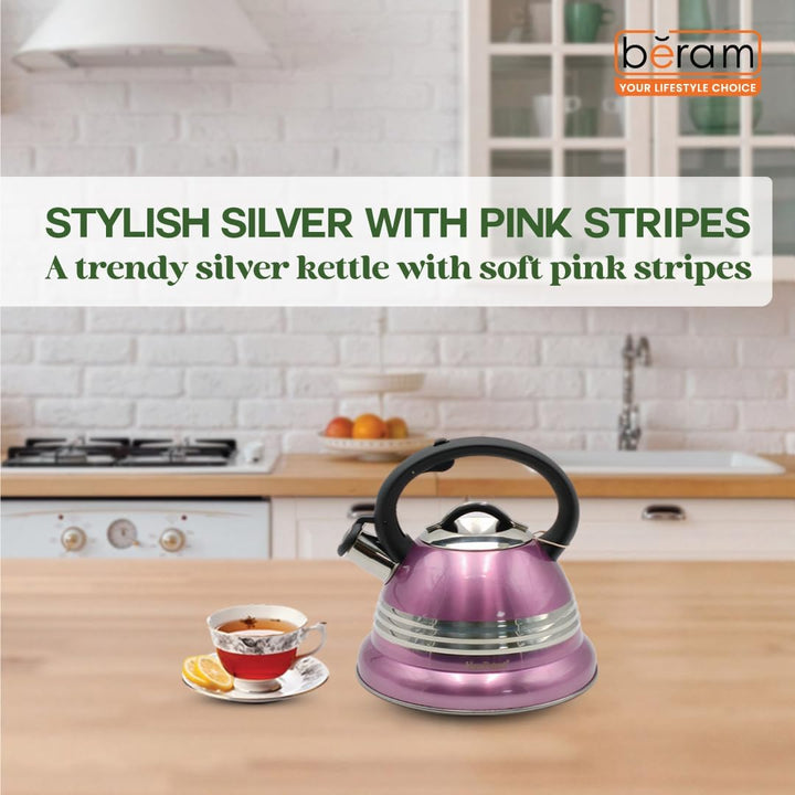 Haus Roland Stainless Steel Tea Kettle, 3 Litres, Whistling Teapot, Stove Top, Stone Finish, Anti-Hot Handle, Anti-Rust, Loud Whistle, Fast Boiling Kitchen Utensil