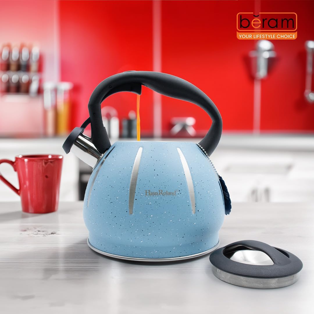 Haus Roland Stainless Steel Tea Kettle, Dotted Kettles, 3 Litres, Whistling Teapot, Stove Top, Stone Finish, Anti-Hot Handle, Anti-Rust, Loud Whistle, Fast Boiling Kitchen Utensil