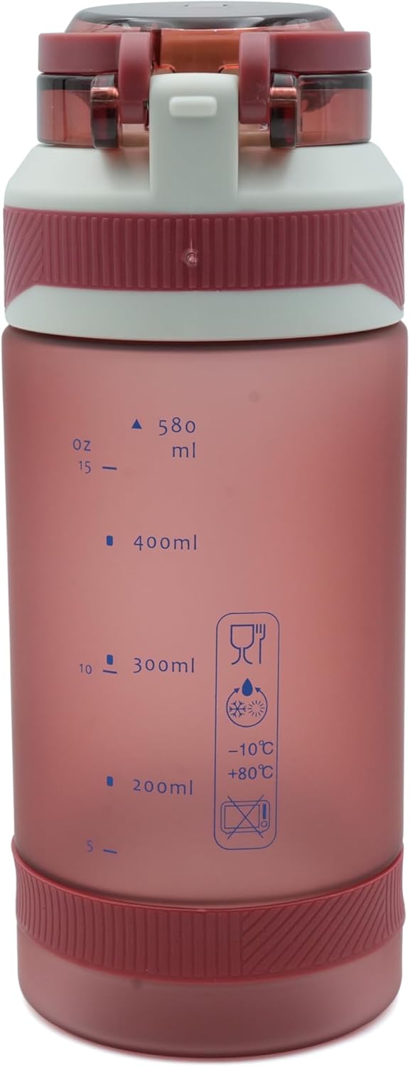 TR6 Sport Frosted Water Bottle BPA Free Leak Proof Flip Lock Lid Temp Resistant 10°C to 80°C Carry Holder Matte Finish Hydration Bottle for Fitness Office Travel School Outdoor  580 ML