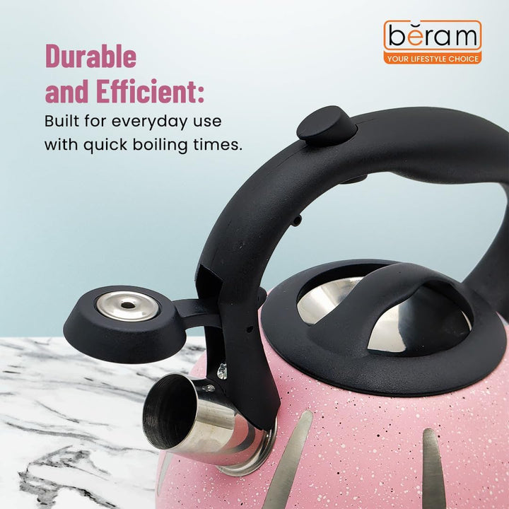 Haus Roland Stainless Steel Tea Kettle, Dotted Kettles, 3 Litres, Whistling Teapot, Stove Top, Stone Finish, Anti-Hot Handle, Anti-Rust, Loud Whistle, Fast Boiling Kitchen Utensil