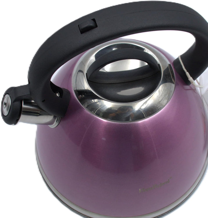 Haus Roland Whistling Kettle, Stainless Steel Tea Kettle, 3 Liters, Whistling Teapot, Ergonomic Handle, Tea Kettle Lid with Nylon Knob, Suitable For Induction and Gas