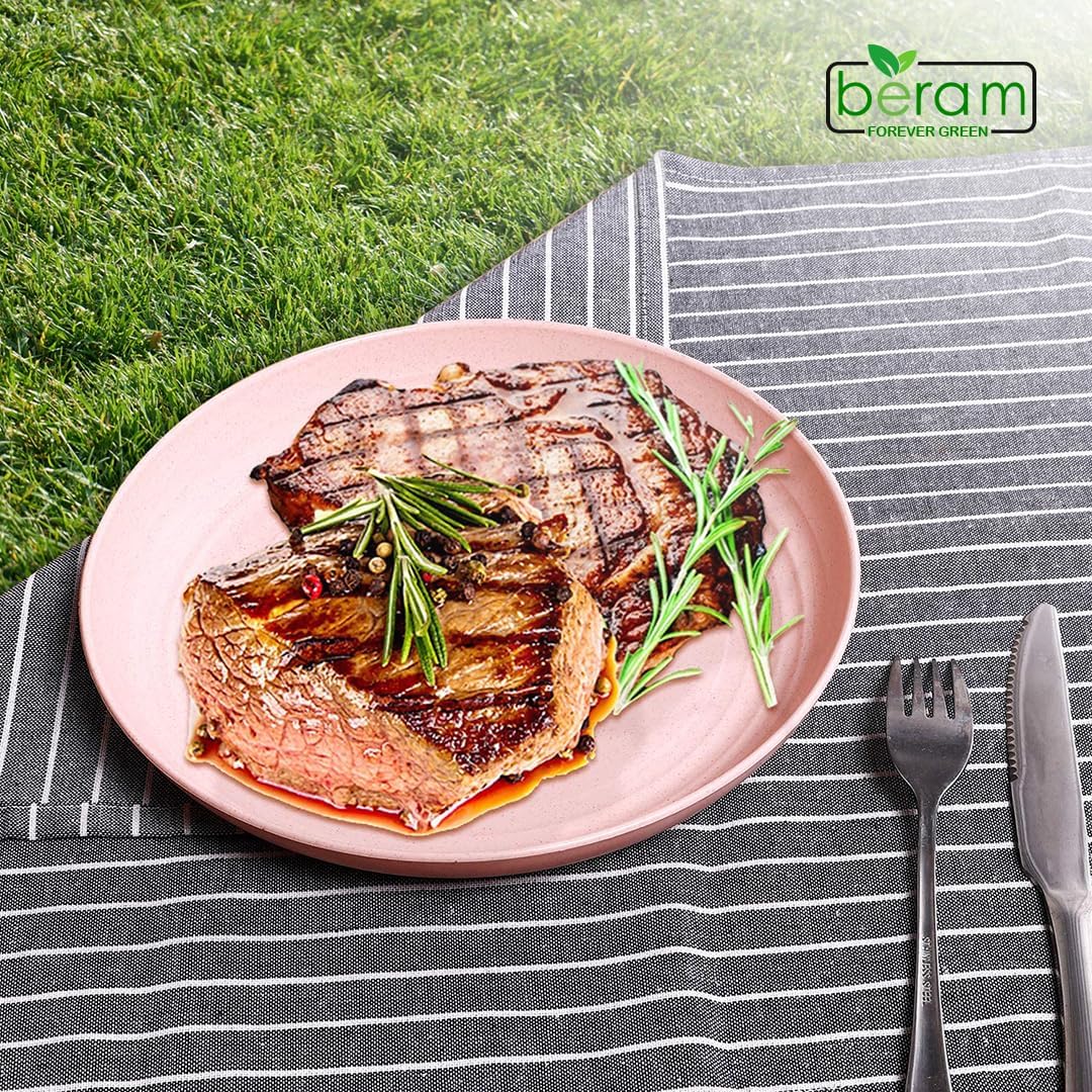 BERAM Wheat Straw Plate Set, Dinnerware Set of 4, Unbreakable Plates, Lightweight Dishes, Kitchen Crockery, Serving Saucers and Platters