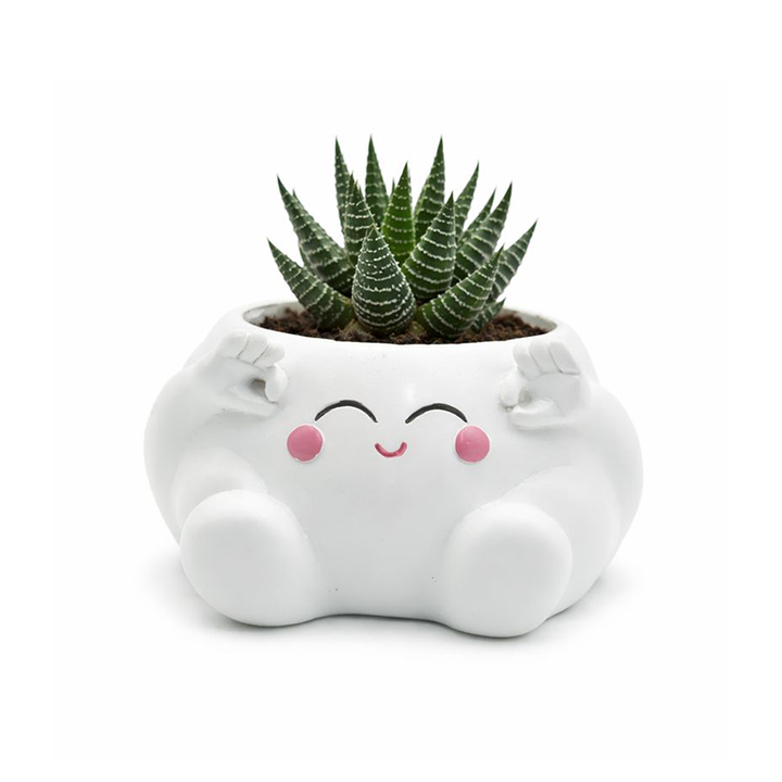 Clouds 4Pcs Set O Heart Sooper Victory Polyresin Cute Smiling Cloud Succulent Planter Decorative Mini Vase Indoor Outdoor Home Office Desk Decor Pen Pencil Holder Propagator Kit