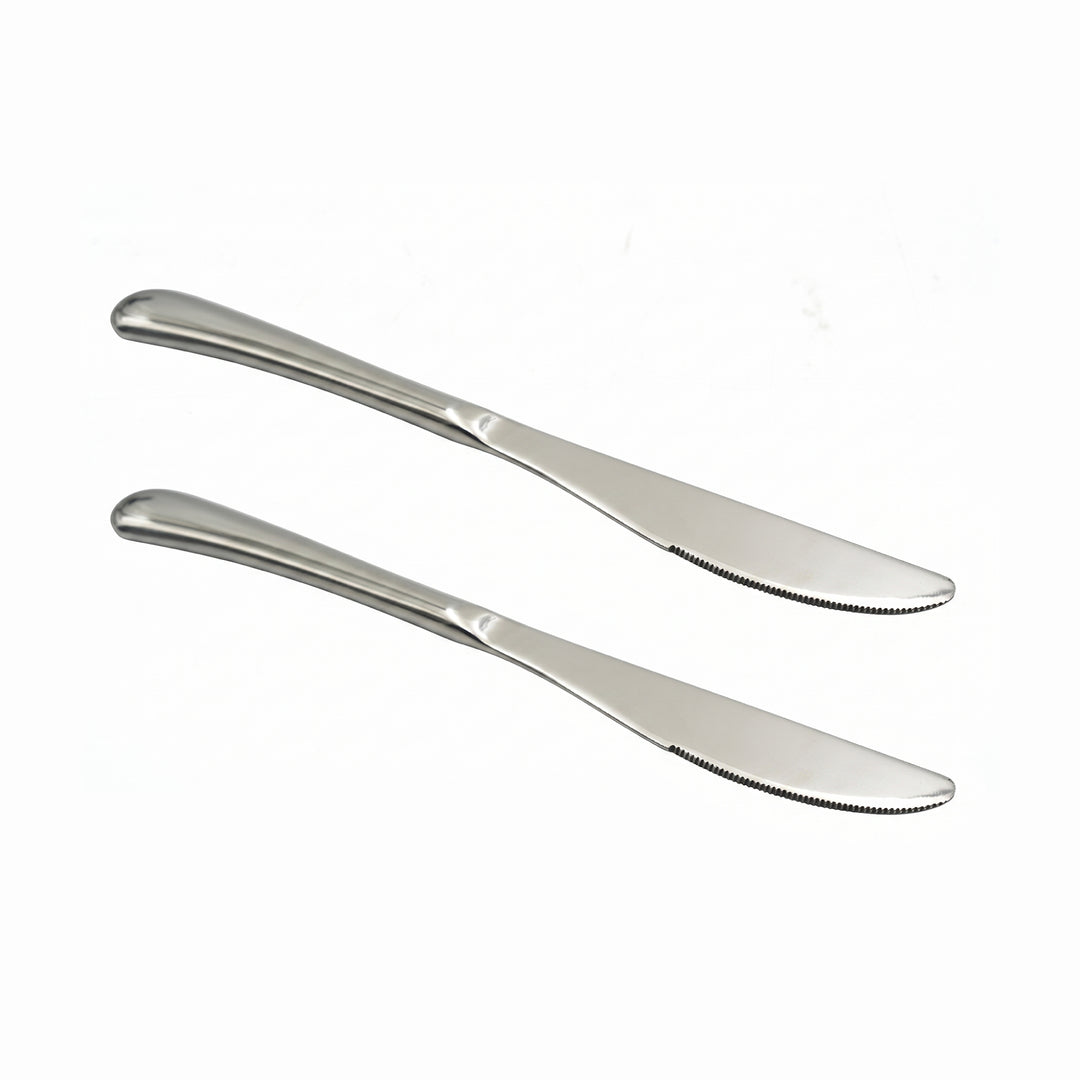 BERAM Stainless Edge Cutlery – Premium 18/10 Stainless Steel Flatware with Elegant Silver Non-Slip Handles – Durable Kitchen Utensils for Home & Restaurants