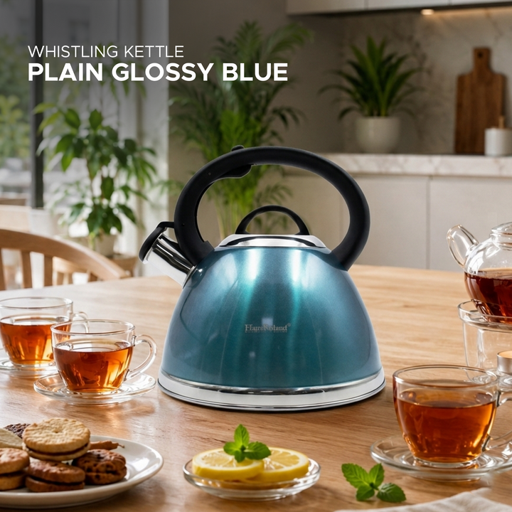 Haus Roland Whistling Kettle, Stainless Steel Tea Kettle, 3 Liters, Whistling Teapot, Ergonomic Handle, Tea Kettle Lid with Nylon Knob, Suitable For Induction and Gas