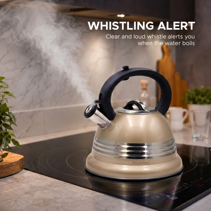Haus Roland Stainless Steel Tea Kettle, 3 Litres, Whistling Teapot, Stove Top, Stone Finish, Anti-Hot Handle, Anti-Rust, Loud Whistle, Fast Boiling Kitchen Utensil