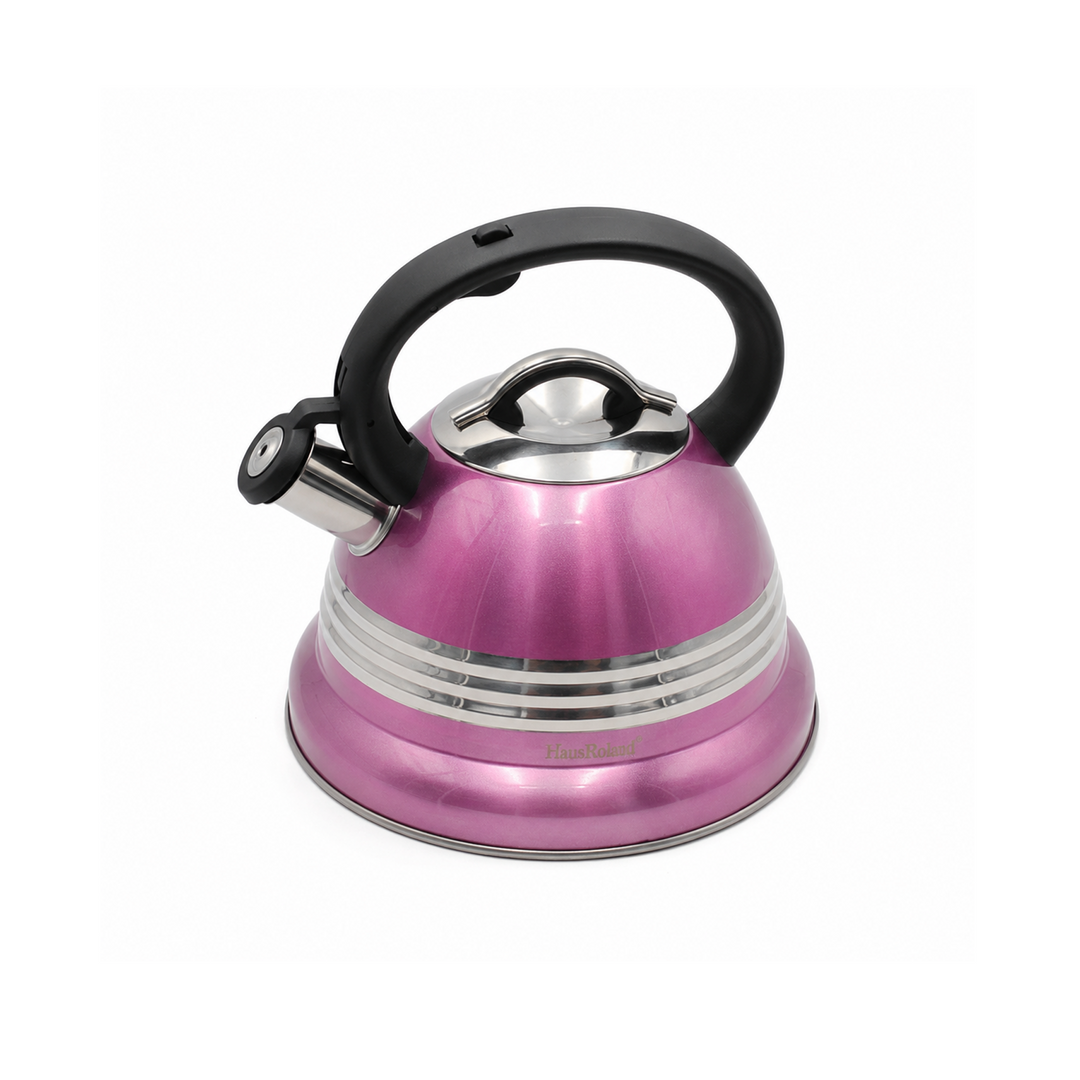 Haus Roland Stainless Steel Tea Kettle, 3 Litres, Whistling Teapot, Stove Top, Stone Finish, Anti-Hot Handle, Anti-Rust, Loud Whistle, Fast Boiling Kitchen Utensil
