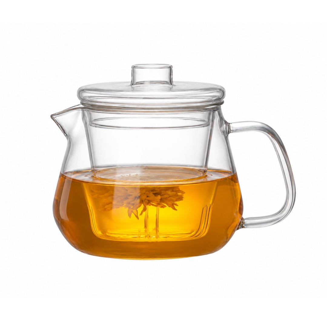 BERAM Glass Teapot with Removable Stainless Steel Infuser, Parrot Tip Teapot, 500ml, Borosilicate Clear Tea Kettle, Stovetop Safe, Hand Crafted Tea Kettle for Home, Loose Leaf Tea Maker, Tea Brewer