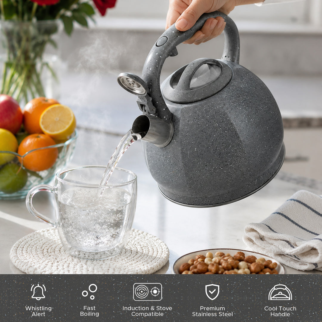 Haus Roland Whistling Kettle, Stovetop Tea Kettle, Stainless Teapot, 3 Liters with Dotted Grain Handles, Fast Boiling, Perfect for Homes, Picnics, and Parties