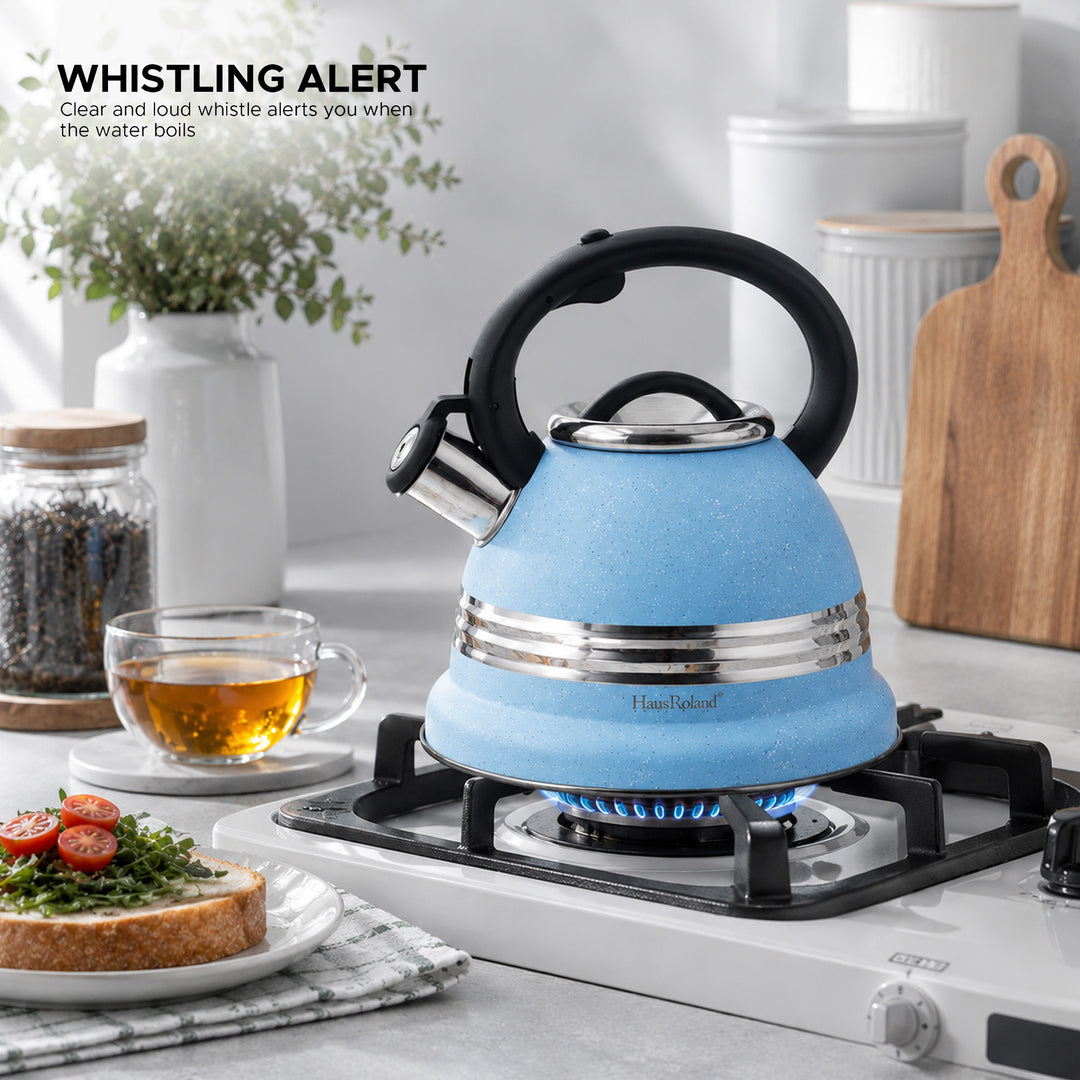 Dotted Whistling Kettle with Single Silver Stripe