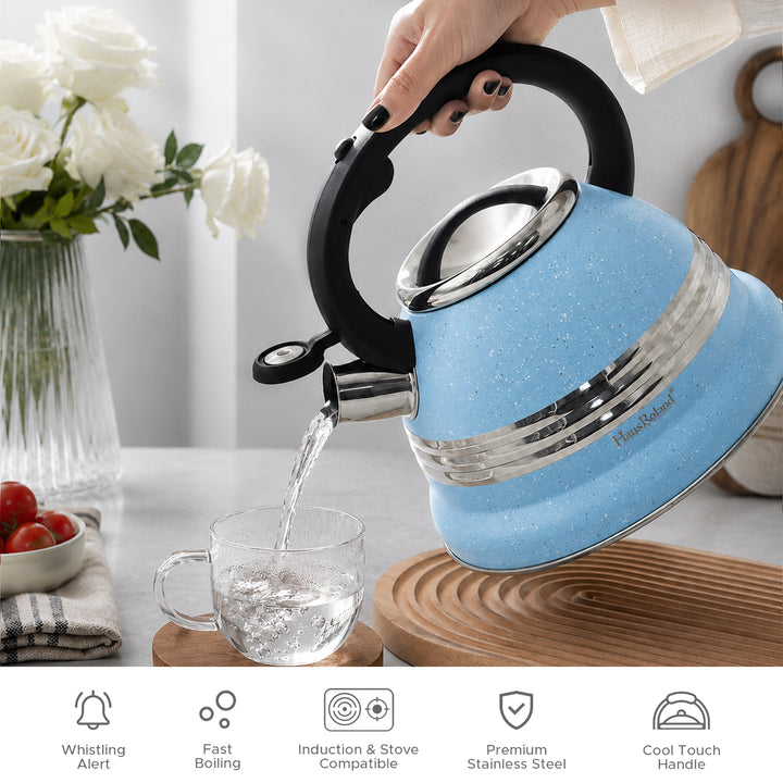 Dotted Whistling Kettle with Single Silver Stripe