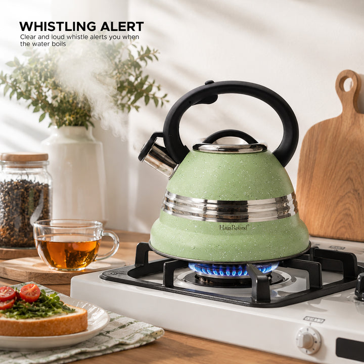 Dotted Whistling Kettle with Single Silver Stripe