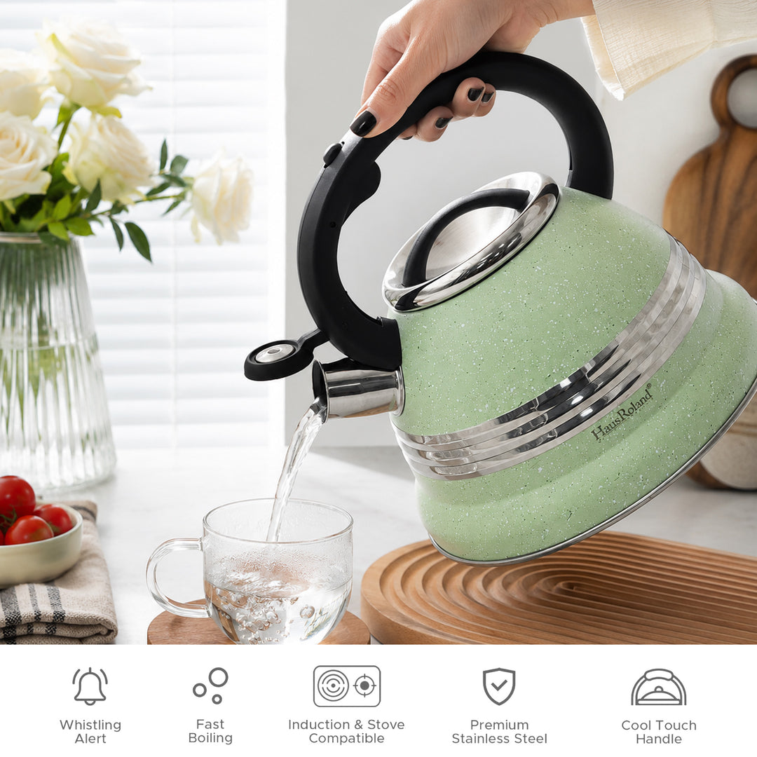 Dotted Whistling Kettle with Single Silver Stripe