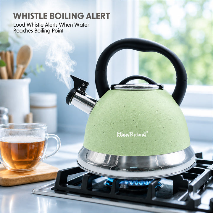 Haus Roland Whistling Kettle, Dotted Silver Striped, Stovetop Tea Kettle, Stainless Teapot, 3.5 Liters with Dotted Grain Handles, Fast Boiling, Perfect for Homes, Picnics, and Parties