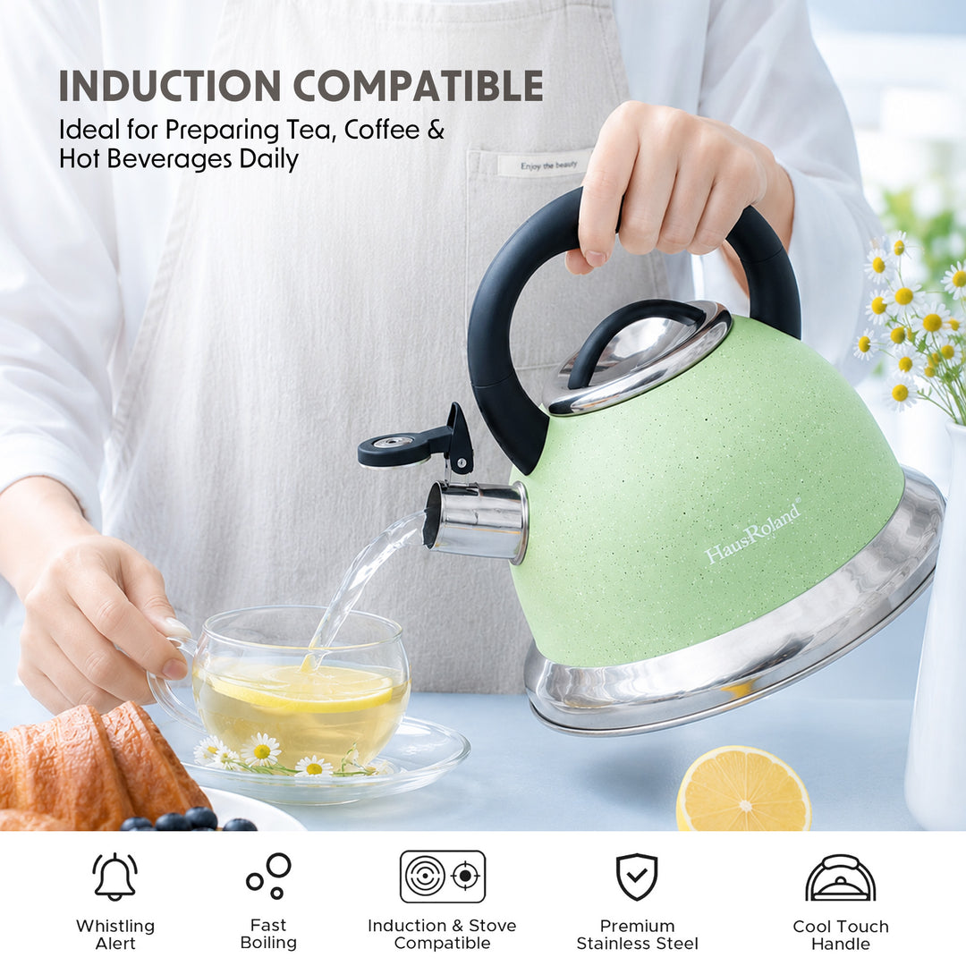 Haus Roland Whistling Kettle, Dotted Silver Striped, Stovetop Tea Kettle, Stainless Teapot, 3.5 Liters with Dotted Grain Handles, Fast Boiling, Perfect for Homes, Picnics, and Parties