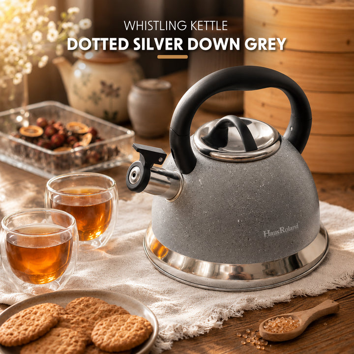 Haus Roland Whistling Kettle, Dotted Silver Striped, Stovetop Tea Kettle, Stainless Teapot, 3.5 Liters with Dotted Grain Handles, Fast Boiling, Perfect for Homes, Picnics, and Parties