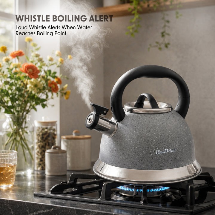 Haus Roland Whistling Kettle, Dotted Silver Striped, Stovetop Tea Kettle, Stainless Teapot, 3.5 Liters with Dotted Grain Handles, Fast Boiling, Perfect for Homes, Picnics, and Parties