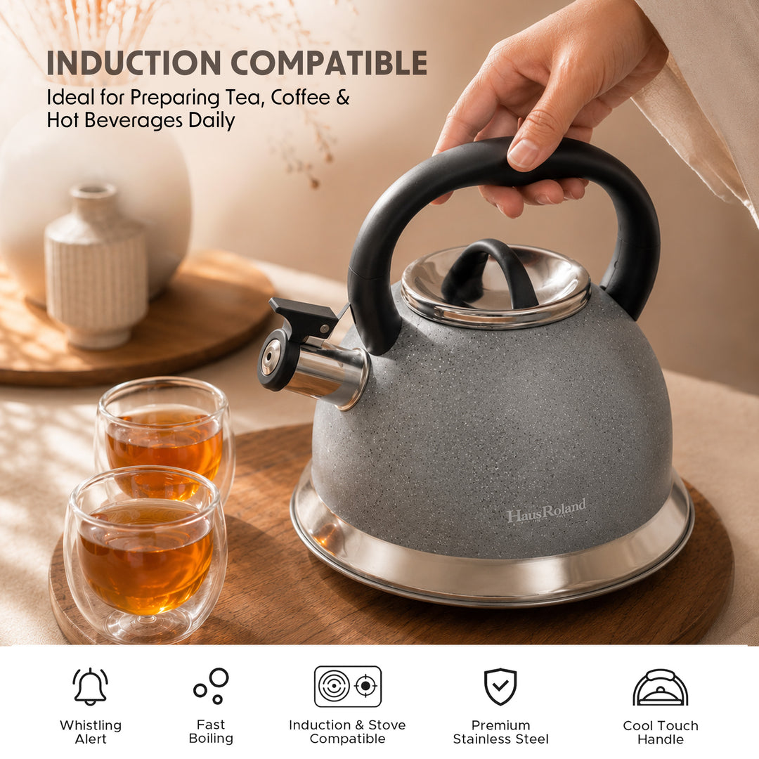 Haus Roland Whistling Kettle, Dotted Silver Striped, Stovetop Tea Kettle, Stainless Teapot, 3.5 Liters with Dotted Grain Handles, Fast Boiling, Perfect for Homes, Picnics, and Parties
