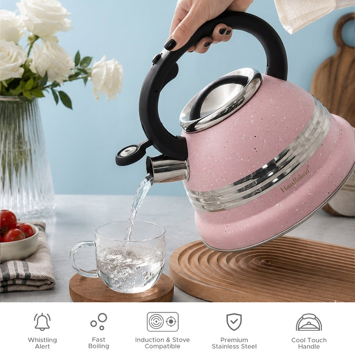 Dotted Whistling Kettle with Single Silver Stripe