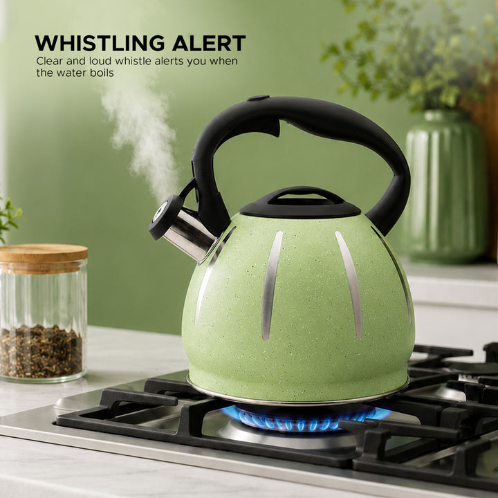 Haus Roland Stainless Steel Tea Kettle, Dotted Kettles, 3 Litres, Whistling Teapot, Stove Top, Stone Finish, Anti-Hot Handle, Anti-Rust, Loud Whistle, Fast Boiling Kitchen Utensil