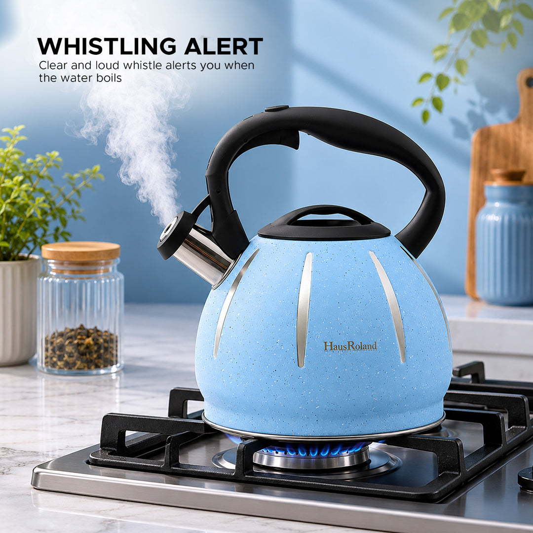 Haus Roland Stainless Steel Tea Kettle, Dotted Kettles, 3 Litres, Whistling Teapot, Stove Top, Stone Finish, Anti-Hot Handle, Anti-Rust, Loud Whistle, Fast Boiling Kitchen Utensil