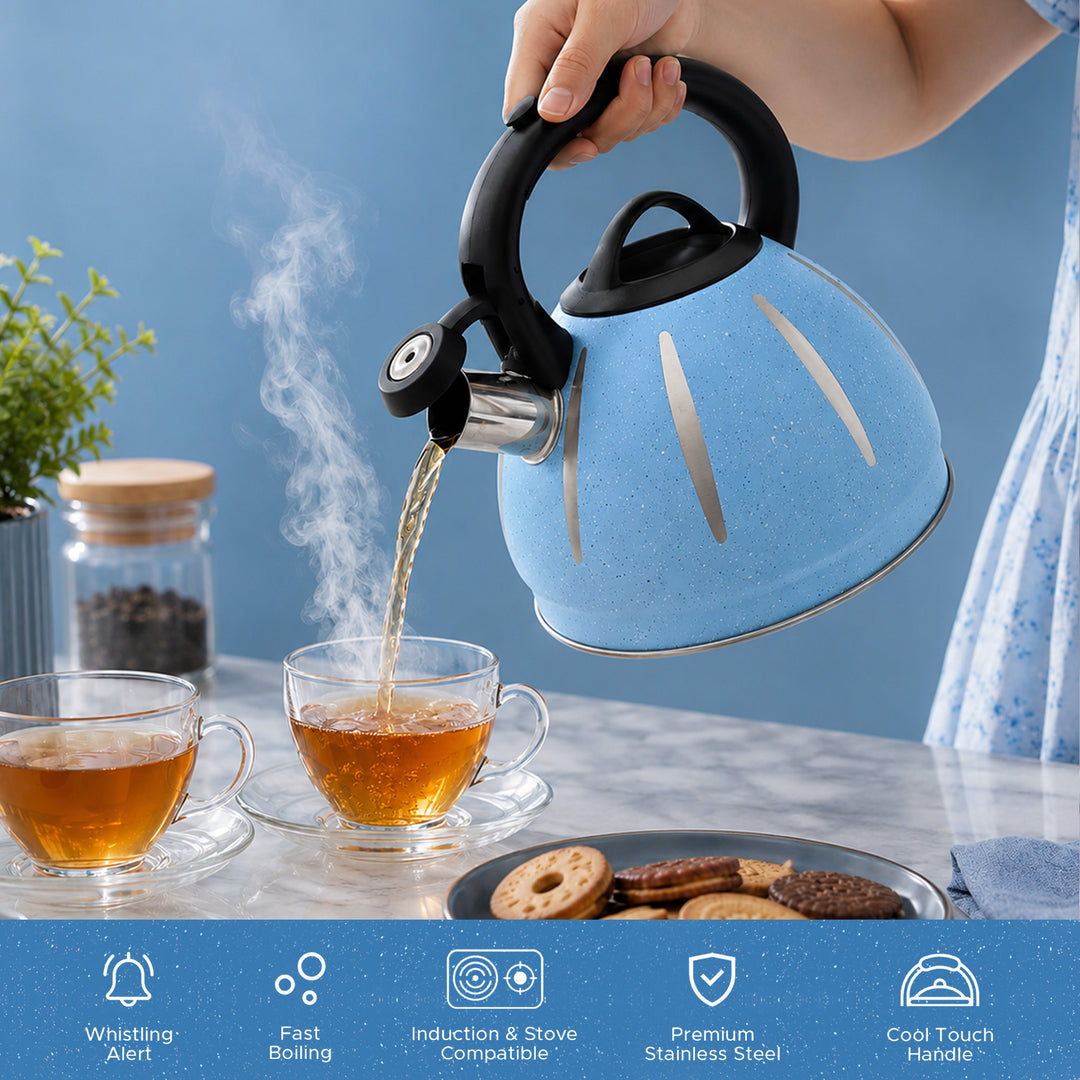 Haus Roland Stainless Steel Tea Kettle, Dotted Kettles, 3 Litres, Whistling Teapot, Stove Top, Stone Finish, Anti-Hot Handle, Anti-Rust, Loud Whistle, Fast Boiling Kitchen Utensil
