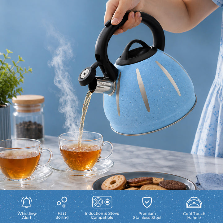 Haus Roland Stainless Steel Tea Kettle, Dotted Kettles, 3 Litres, Whistling Teapot, Stove Top, Stone Finish, Anti-Hot Handle, Anti-Rust, Loud Whistle, Fast Boiling Kitchen Utensil