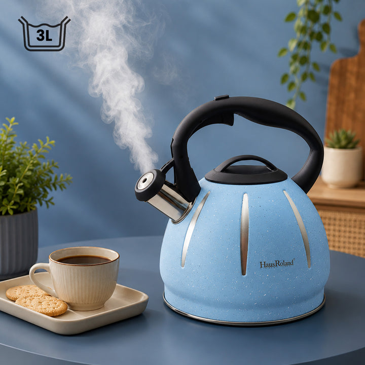 Haus Roland Stainless Steel Tea Kettle, Dotted Kettles, 3 Litres, Whistling Teapot, Stove Top, Stone Finish, Anti-Hot Handle, Anti-Rust, Loud Whistle, Fast Boiling Kitchen Utensil