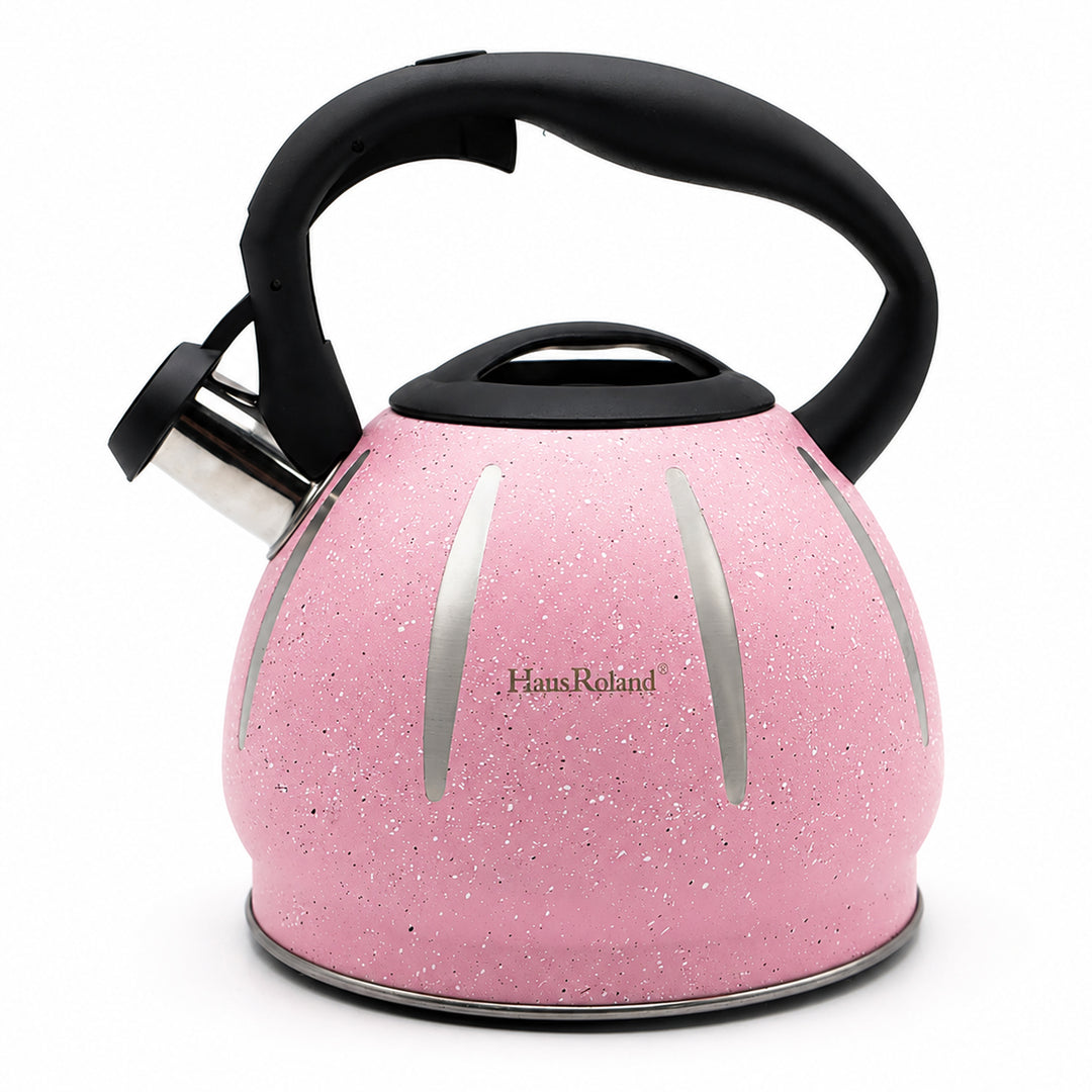 Haus Roland Stainless Steel Tea Kettle, Dotted Kettles, 3 Litres, Whistling Teapot, Stove Top, Stone Finish, Anti-Hot Handle, Anti-Rust, Loud Whistle, Fast Boiling Kitchen Utensil