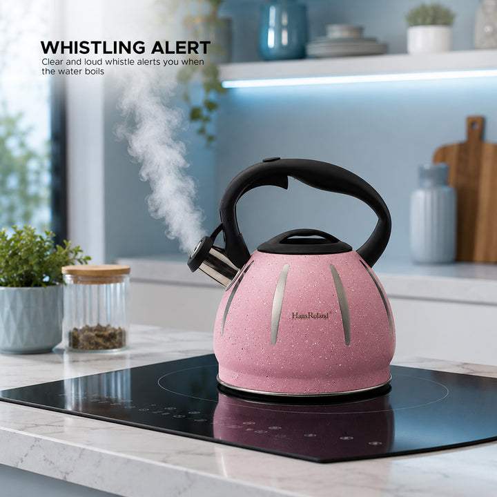 Haus Roland Stainless Steel Tea Kettle, Dotted Kettles, 3 Litres, Whistling Teapot, Stove Top, Stone Finish, Anti-Hot Handle, Anti-Rust, Loud Whistle, Fast Boiling Kitchen Utensil