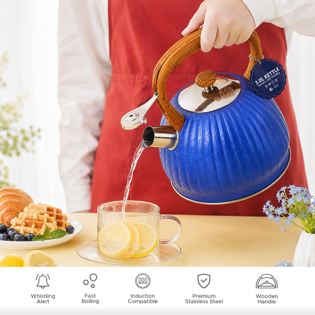 Haus Roland Whistling Kettle, Wooden Handles with Stripes, Stovetop Tea Kettle, Stainless Teapot, 3 Liters, Fast Boiling, Perfect for Homes, Picnics, and Parties
