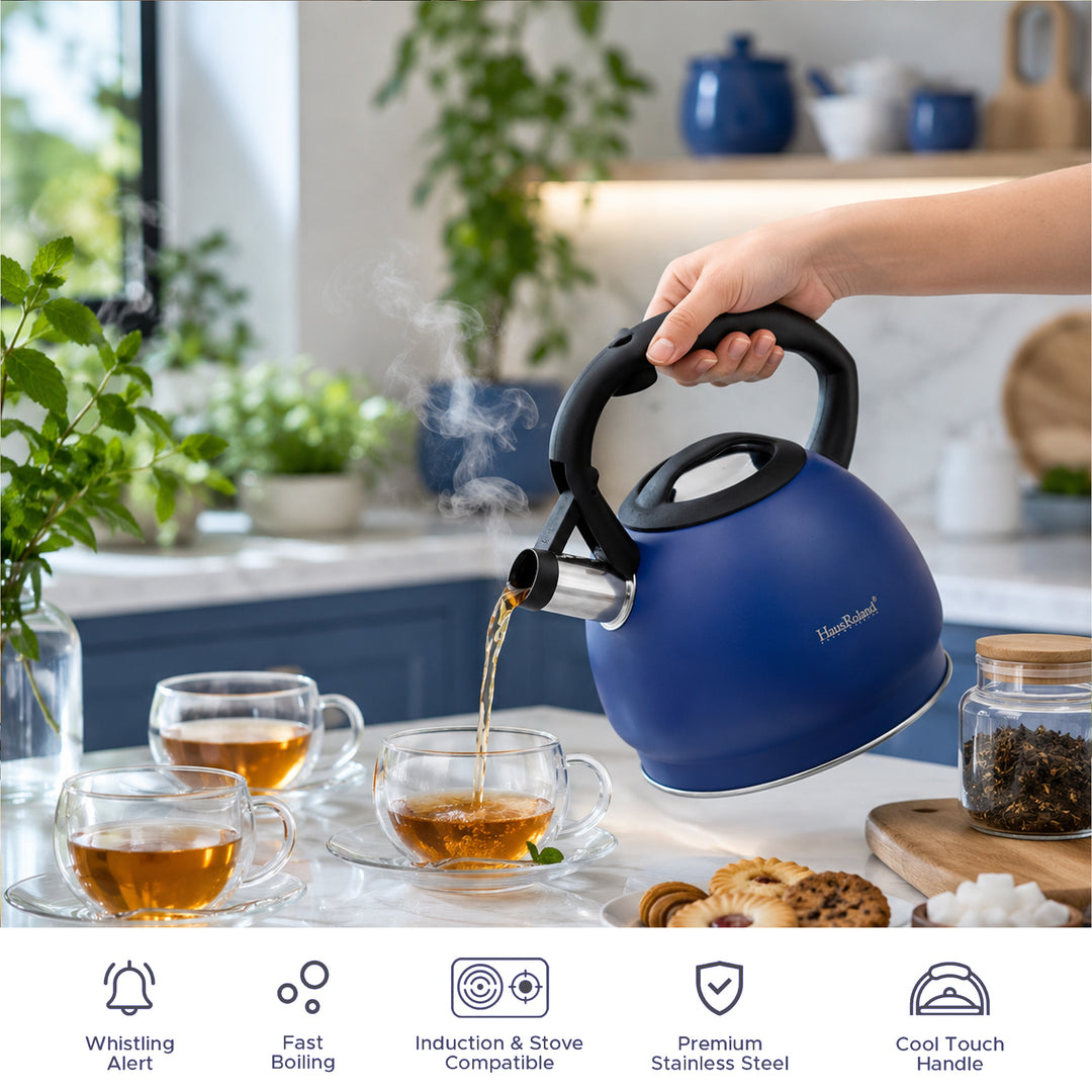 Haus Roland Whistling Kettle, Stainless Steel Tea Kettle, 3 Liters, Whistling Teapot, Ergonomic Handle Teapot, Lid with Nylon Knob, Suitable For Induction and Gas., Full Matte Design