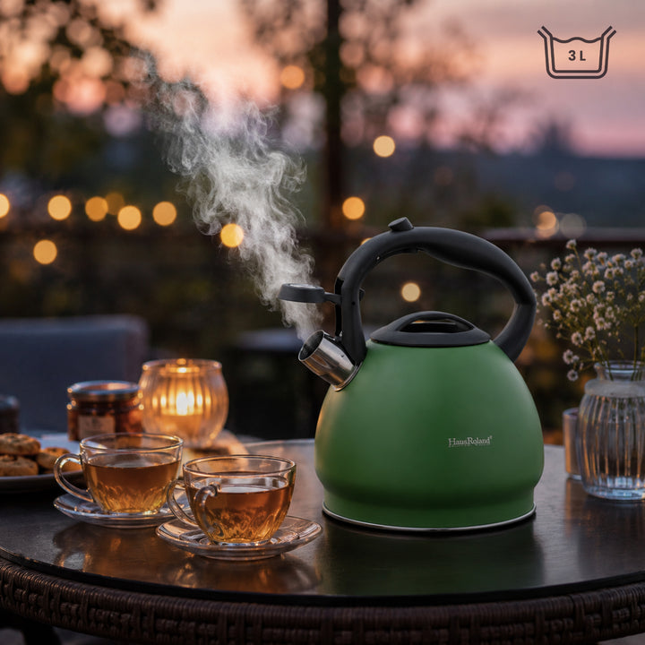 Haus Roland Whistling Kettle, Stainless Steel Tea Kettle, 3 Liters, Whistling Teapot, Ergonomic Handle Teapot, Lid with Nylon Knob, Suitable For Induction and Gas., Full Matte Design
