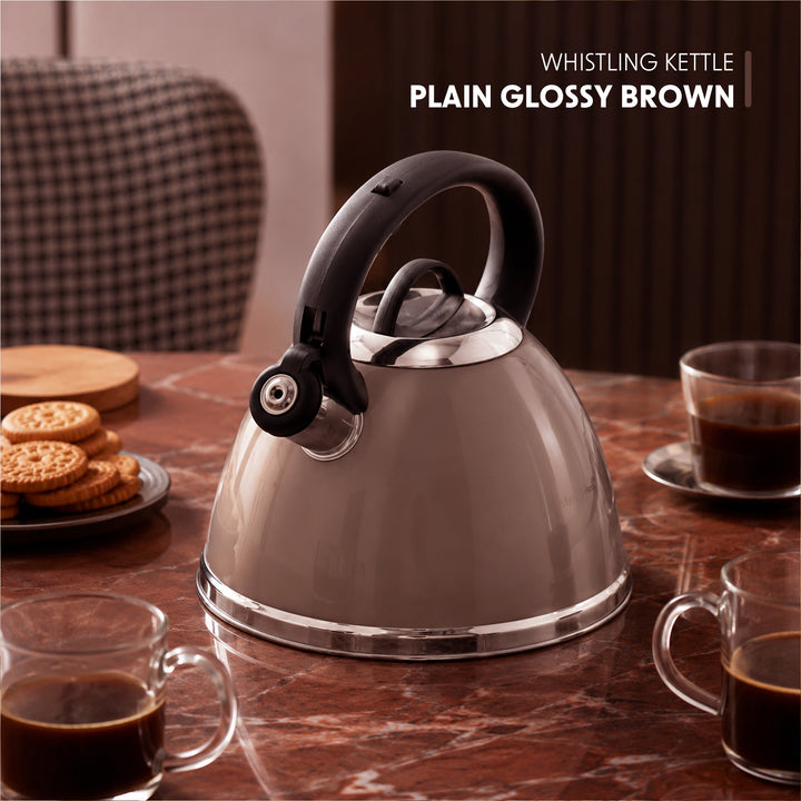Haus Roland Whistling Kettle, Stainless Steel Tea Kettle, 3 Liters, Whistling Teapot, Ergonomic Handle, Tea Kettle Lid with Nylon Knob, Suitable For Induction and Gas