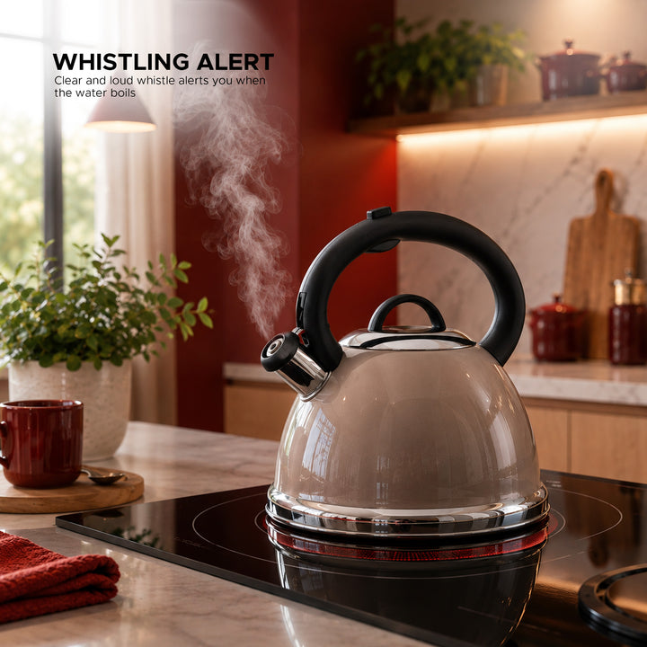Haus Roland Whistling Kettle, Stainless Steel Tea Kettle, 3 Liters, Whistling Teapot, Ergonomic Handle, Tea Kettle Lid with Nylon Knob, Suitable For Induction and Gas