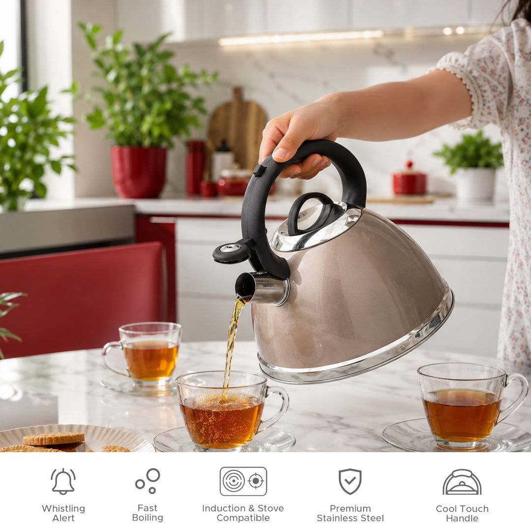 Haus Roland Whistling Kettle, Stainless Steel Tea Kettle, 3 Liters, Whistling Teapot, Ergonomic Handle, Tea Kettle Lid with Nylon Knob, Suitable For Induction and Gas