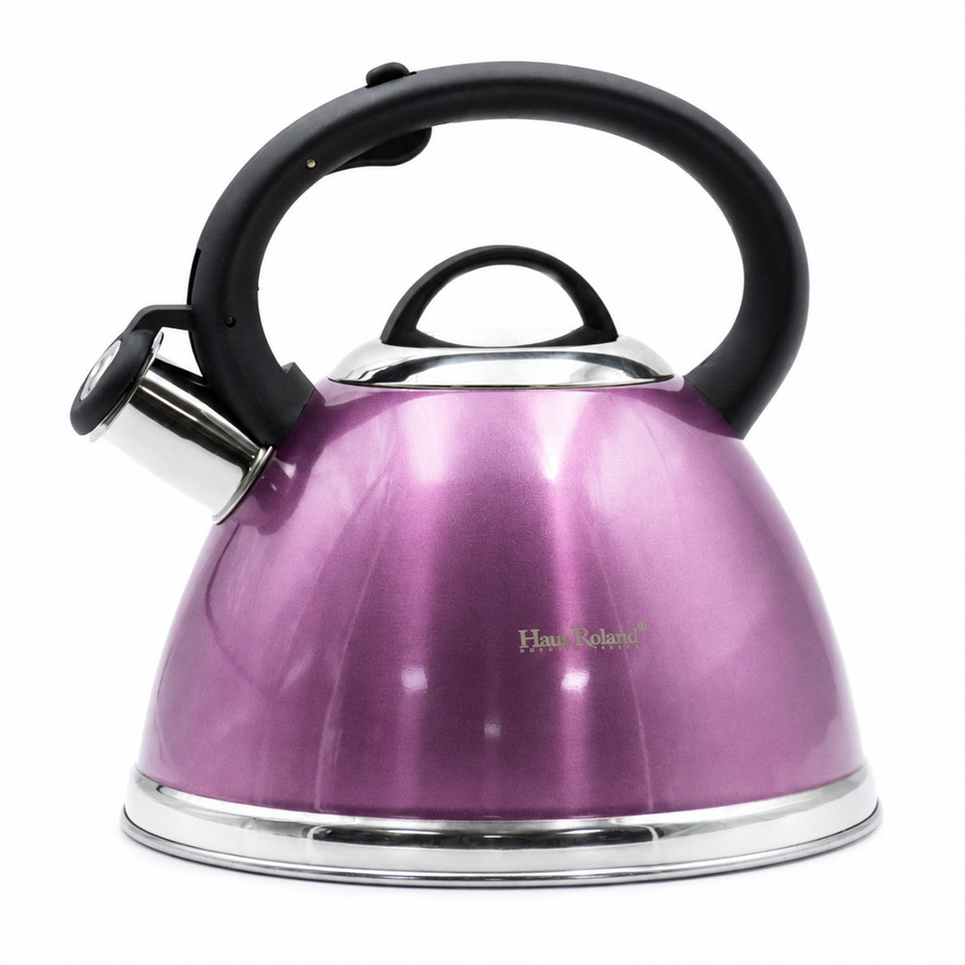 Haus Roland Whistling Kettle, Stainless Steel Tea Kettle, 3 Liters, Whistling Teapot, Ergonomic Handle, Tea Kettle Lid with Nylon Knob, Suitable For Induction and Gas