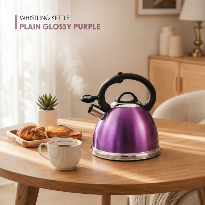 Haus Roland Whistling Kettle, Stainless Steel Tea Kettle, 3 Liters, Whistling Teapot, Ergonomic Handle, Tea Kettle Lid with Nylon Knob, Suitable For Induction and Gas
