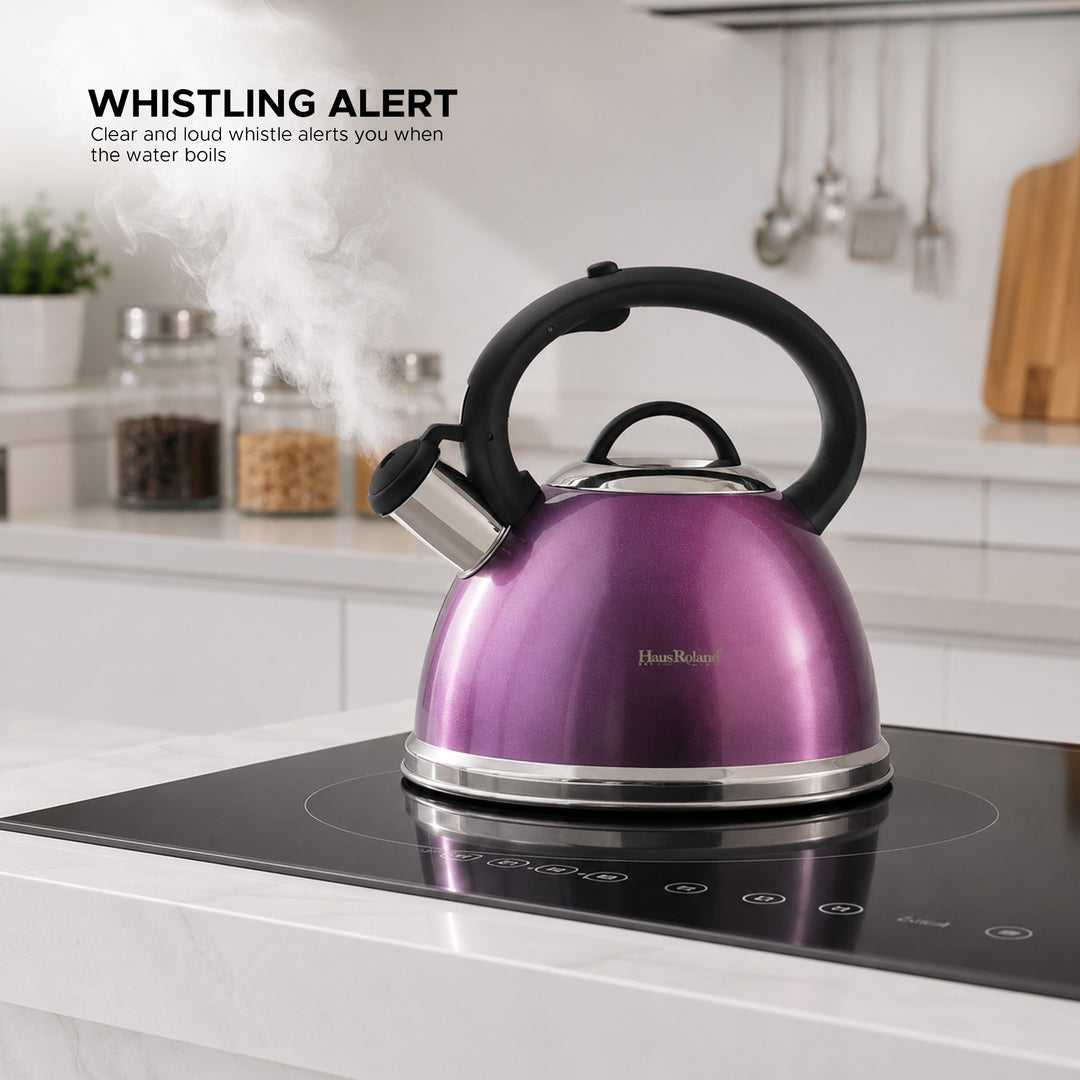 Haus Roland Whistling Kettle, Stainless Steel Tea Kettle, 3 Liters, Whistling Teapot, Ergonomic Handle, Tea Kettle Lid with Nylon Knob, Suitable For Induction and Gas