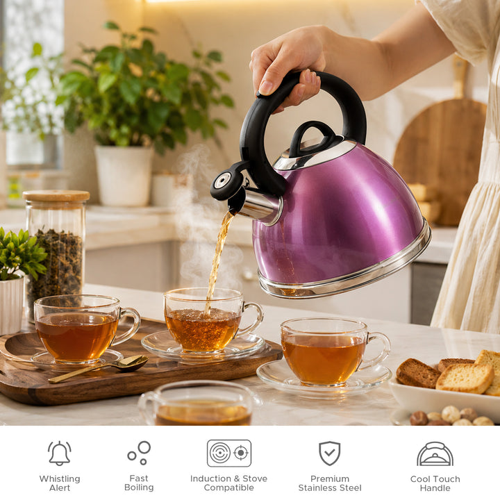Haus Roland Whistling Kettle, Stainless Steel Tea Kettle, 3 Liters, Whistling Teapot, Ergonomic Handle, Tea Kettle Lid with Nylon Knob, Suitable For Induction and Gas