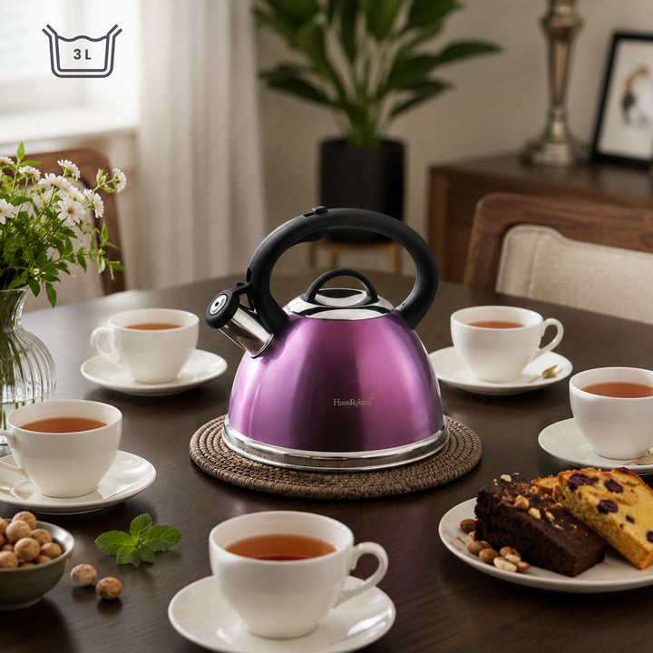 Haus Roland Whistling Kettle, Stainless Steel Tea Kettle, 3 Liters, Whistling Teapot, Ergonomic Handle, Tea Kettle Lid with Nylon Knob, Suitable For Induction and Gas