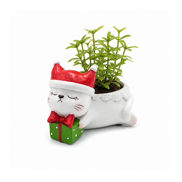 Animal Christmas Flower Pot 4 Pcs Set Rabbit Cat Porcupine Elephant Polyresin Succulent Planter Festive Mini Vase with Santa Hat Gift Box Design Indoor Outdoor Home Office Desk Decor Gift